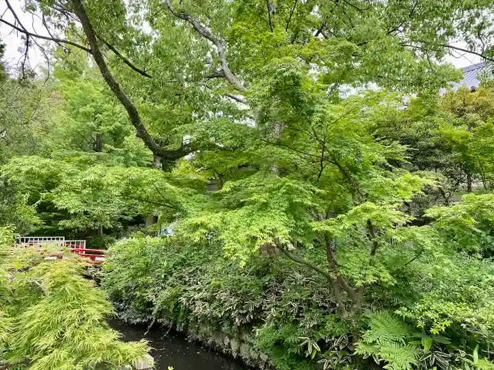 白旗神社の自然