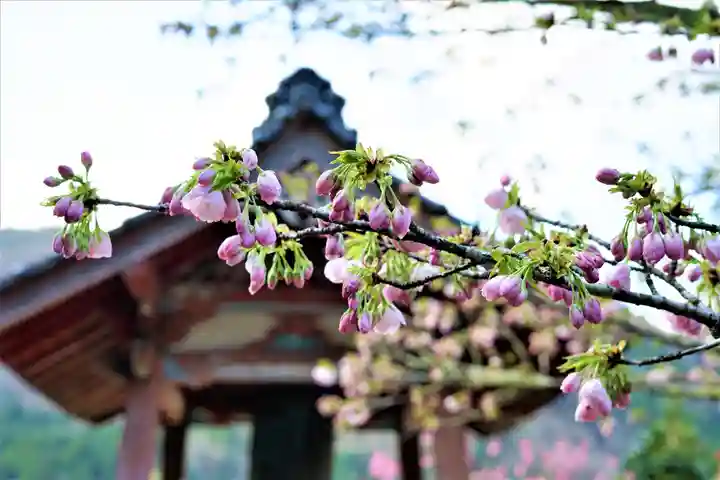 赤堂観音の自然