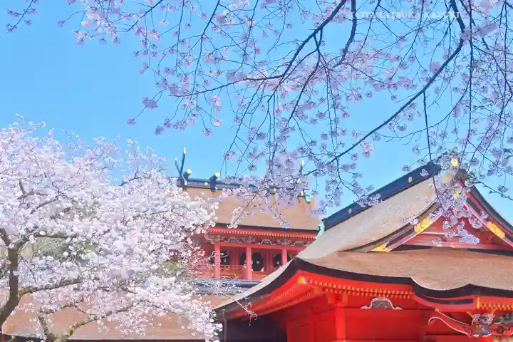 富士山本宮浅間大社(静岡県)