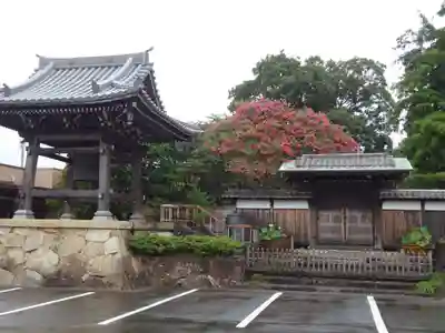 妙蓮寺のその他建物