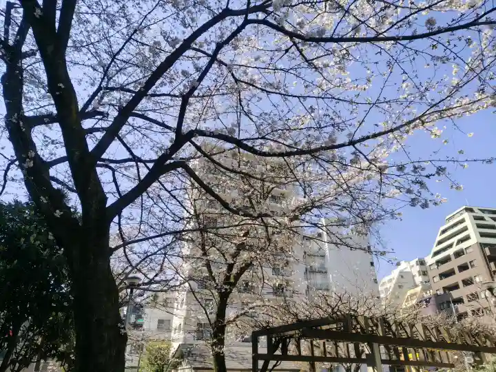 秋葉神社の{uncategorized: "未分類", other: "その他", undefined: "問題あり", building: "その他建物", grave: "お墓", sacred_gate: "鳥居", guardian: "狛犬", statue: "像", buddha: "仏像", history: "歴史", nature: "自然", garden: "庭園", animal: "動物", pagoda: "塔", temizu: "手水舎", mountain_gate: "山門・神門", sanctuary: "本殿・本堂", subordinate: "末社・摂社", art: "芸術", scenery: "景色", jizo: "地蔵", ema: "絵馬", goshuin: "御朱印", omikuji: "おみくじ", items: "授与品その他", amulet: "お守り", goshuincho: "御朱印帳", eats: "食事", festival: "お祭り", votive_dance: "神楽", shichigosan: "七五三参", wedding: "結婚式", experience: "体験その他", initially: "初詣", around: "周辺", anti_infection: "感染症対策"}