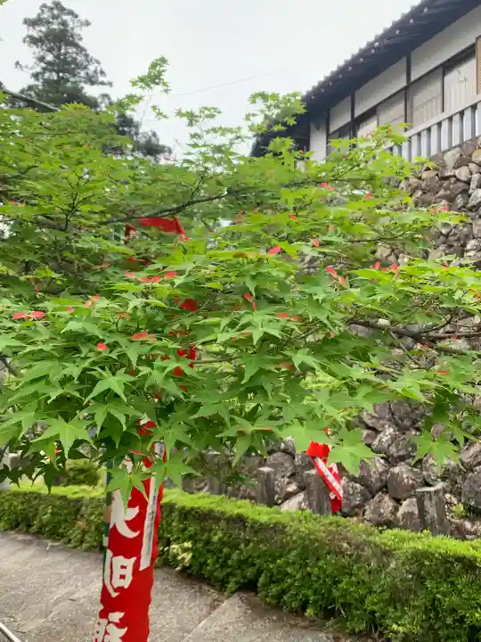 関善光寺の{uncategorized: "未分類", other: "その他", undefined: "問題あり", building: "その他建物", grave: "お墓", sacred_gate: "鳥居", guardian: "狛犬", statue: "像", buddha: "仏像", history: "歴史", nature: "自然", garden: "庭園", animal: "動物", pagoda: "塔", temizu: "手水舎", mountain_gate: "山門・神門", sanctuary: "本殿・本堂", subordinate: "末社・摂社", art: "芸術", scenery: "景色", jizo: "地蔵", ema: "絵馬", goshuin: "御朱印", omikuji: "おみくじ", items: "授与品その他", amulet: "お守り", goshuincho: "御朱印帳", eats: "食事", festival: "お祭り", votive_dance: "神楽", shichigosan: "七五三参", wedding: "結婚式", experience: "体験その他", initially: "初詣", around: "周辺", anti_infection: "感染症対策"}