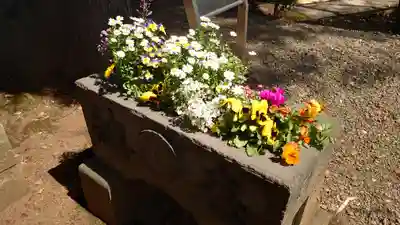 目黒富士浅間神社(東京都)