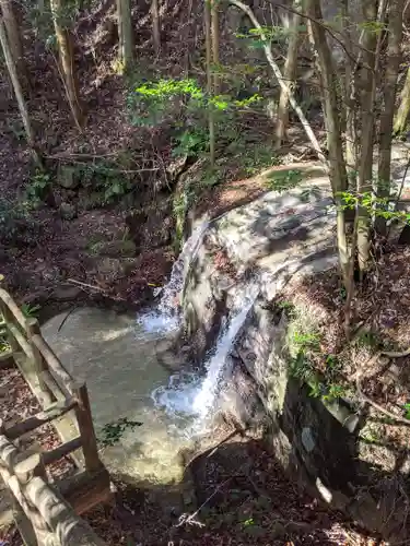 猿投神社　西の宮の自然