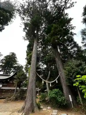 山倉大神の{uncategorized: "未分類", other: "その他", undefined: "問題あり", building: "その他建物", grave: "お墓", sacred_gate: "鳥居", guardian: "狛犬", statue: "像", buddha: "仏像", history: "歴史", nature: "自然", garden: "庭園", animal: "動物", pagoda: "塔", temizu: "手水舎", mountain_gate: "山門・神門", sanctuary: "本殿・本堂", subordinate: "末社・摂社", art: "芸術", scenery: "景色", jizo: "地蔵", ema: "絵馬", goshuin: "御朱印", omikuji: "おみくじ", items: "授与品その他", amulet: "お守り", goshuincho: "御朱印帳", eats: "食事", festival: "お祭り", votive_dance: "神楽", shichigosan: "七五三参", wedding: "結婚式", experience: "体験その他", initially: "初詣", around: "周辺", anti_infection: "感染症対策"}
