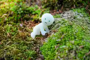 尻岸内八幡神社の自然(2024年05月03日(金) 21時55分00秒投稿)