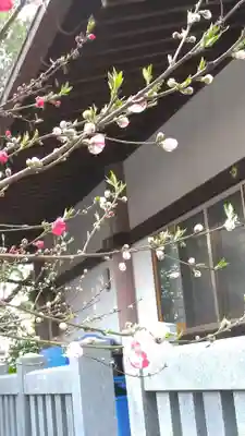 市原稲荷神社(愛知県)