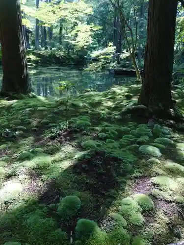 西芳寺の庭園