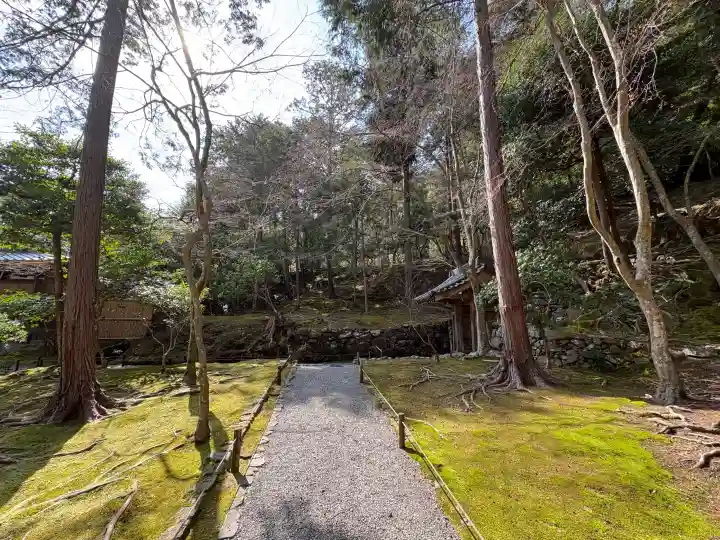 西芳寺の{uncategorized: "未分類", other: "その他", undefined: "問題あり", building: "その他建物", grave: "お墓", sacred_gate: "鳥居", guardian: "狛犬", statue: "像", buddha: "仏像", history: "歴史", nature: "自然", garden: "庭園", animal: "動物", pagoda: "塔", temizu: "手水舎", mountain_gate: "山門・神門", sanctuary: "本殿・本堂", subordinate: "末社・摂社", art: "芸術", scenery: "景色", jizo: "地蔵", ema: "絵馬", goshuin: "御朱印", omikuji: "おみくじ", items: "授与品その他", amulet: "お守り", goshuincho: "御朱印帳", eats: "食事", festival: "お祭り", votive_dance: "神楽", shichigosan: "七五三参", wedding: "結婚式", experience: "体験その他", initially: "初詣", around: "周辺", anti_infection: "感染症対策"}