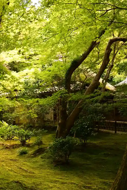 祇王寺(京都府)