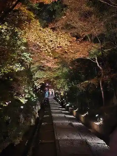 高台寺（高台寿聖禅寺・高臺寺）(京都府)