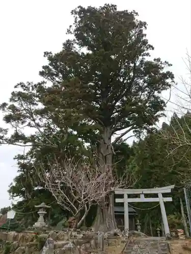 諏訪社の鳥居