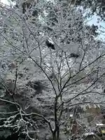 鞍馬寺(京都府)