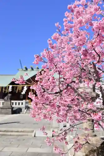 石濱神社(東京都)