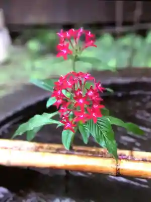 陽運寺(東京都)