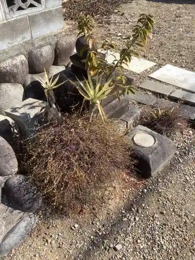 市神社の建物その他