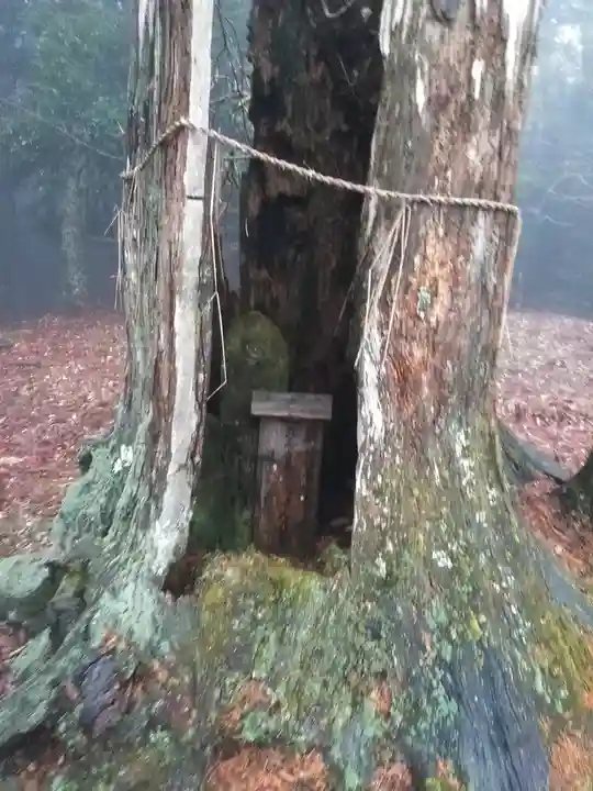 正平寺のその他建物