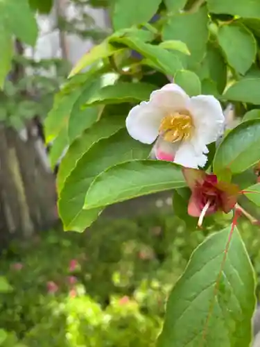 観音寺(兵庫県)