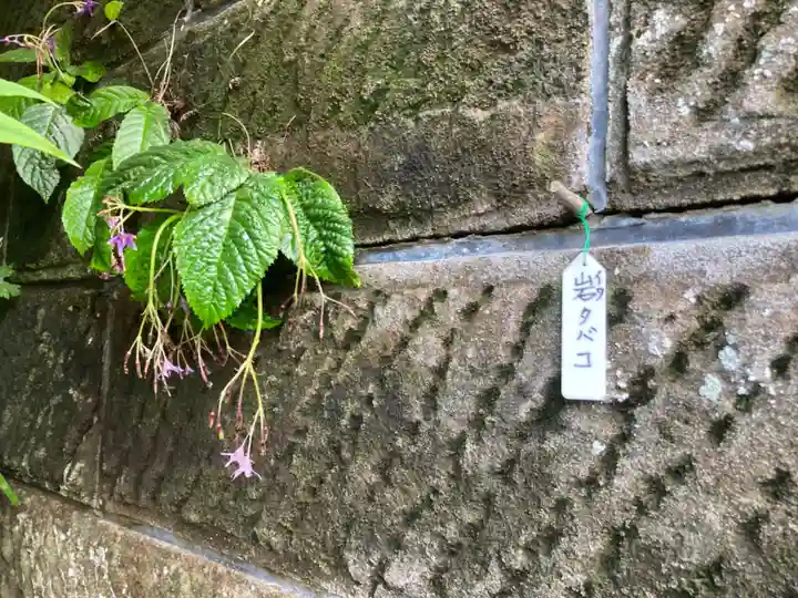 松嶺院(神奈川県)