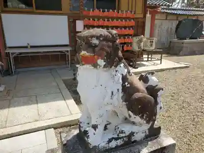 平野八幡神社の狛犬