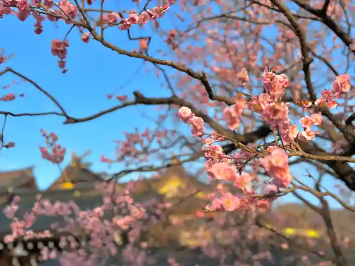 湯島天満宮(長野分社)の自然