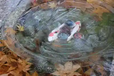 滑川神社 - 仕事と子どもの守り神の手水舎