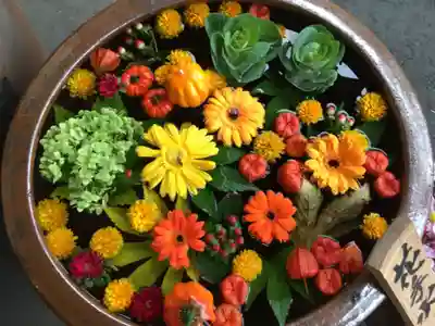 多賀神社の手水舎