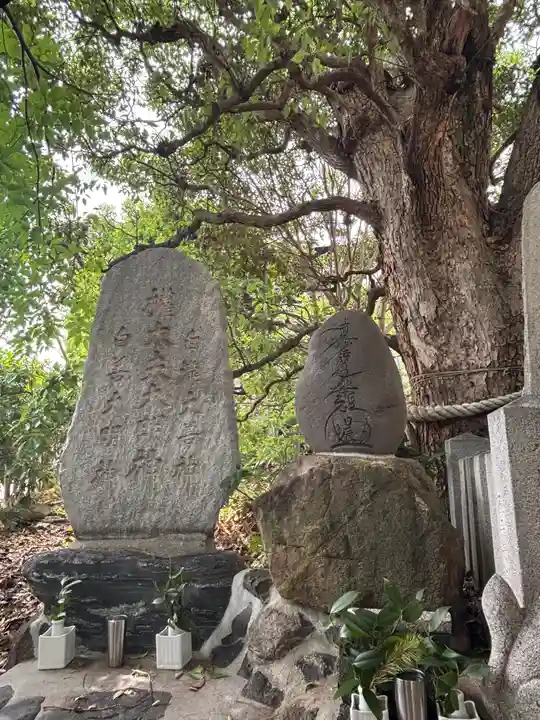 白富大明神(兵庫県)