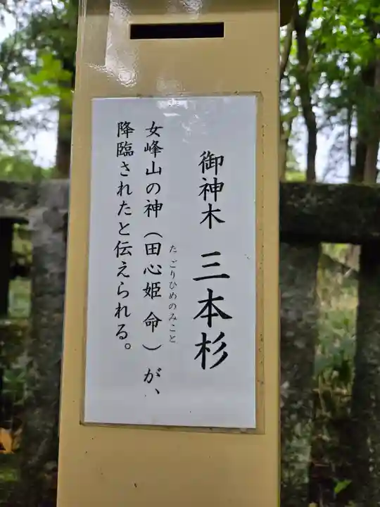 瀧尾神社(日光二荒山神社別宮)(栃木県)