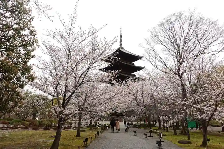 東寺(教王護国寺)(京都府)