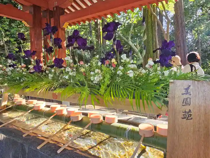 武蔵一宮氷川神社(埼玉県)