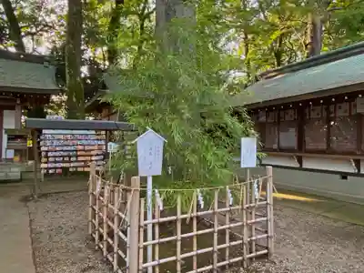 一言主神社のその他建物
