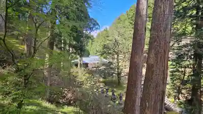 日光山輪王寺 大猷院(栃木県)