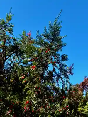 蚊里田八幡宮(長野県)