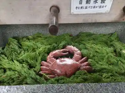 多賀神社（尾張多賀神社）(愛知県)