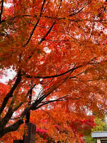 黒石寺(岩手県)