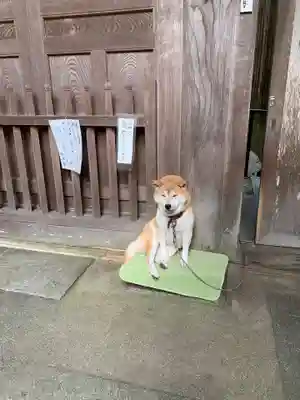 長谷寺(奈良県)