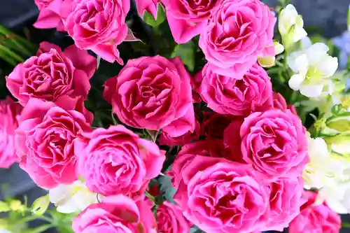 三津厳島神社の手水舎