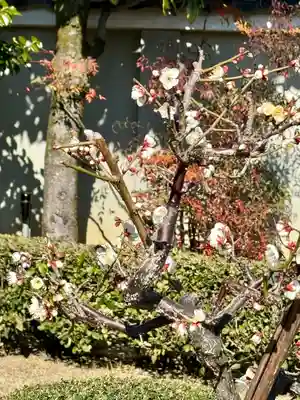 大恩寺(京都府)