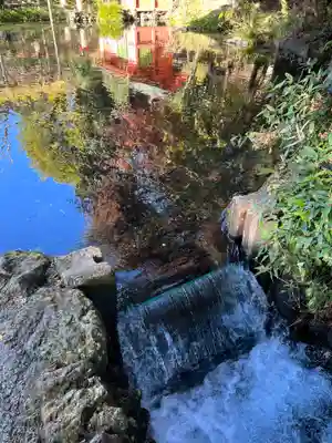 富士山本宮浅間大社(静岡県)