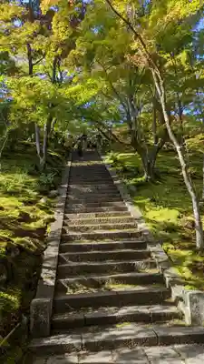 常寂光寺(京都府)