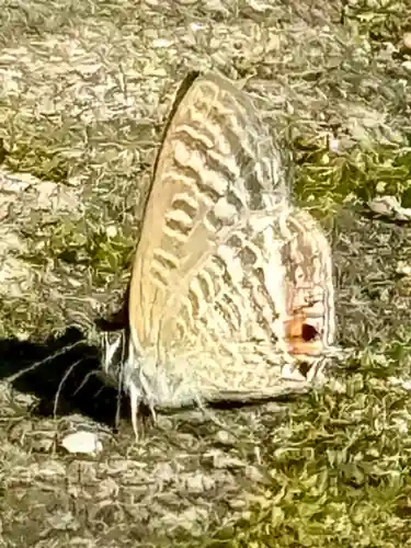 伊富岐神社(岐阜県)