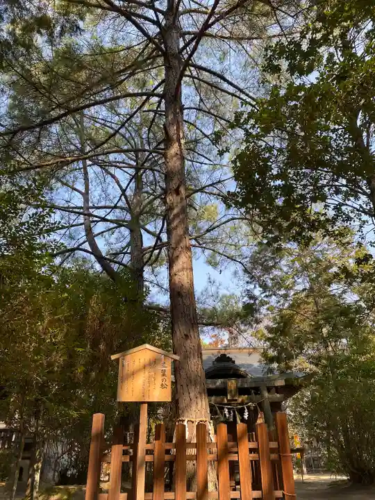 窪八幡宮(岡山県)