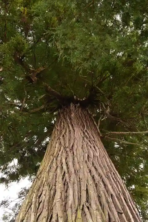 須我神社(島根県)