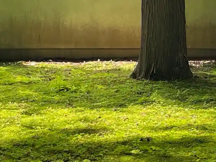 慈雲寺(長野県)