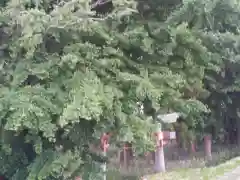 神社(名称不明)の建物その他