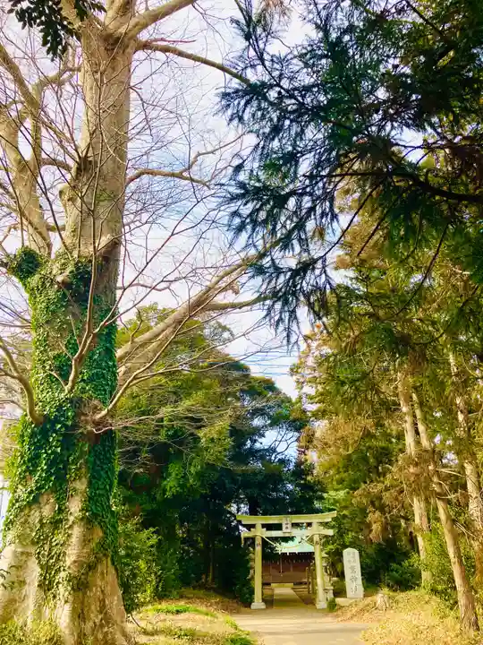 鷲宮神社(茨城県)