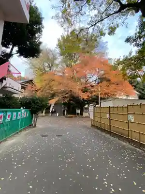 東郷神社(東京都)