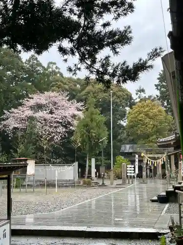 神明神社（相差町）の{uncategorized: "未分類", other: "その他", undefined: "問題あり", building: "その他建物", grave: "お墓", sacred_gate: "鳥居", guardian: "狛犬", statue: "像", buddha: "仏像", history: "歴史", nature: "自然", garden: "庭園", animal: "動物", pagoda: "塔", temizu: "手水舎", mountain_gate: "山門・神門", sanctuary: "本殿・本堂", subordinate: "末社・摂社", art: "芸術", scenery: "景色", jizo: "地蔵", ema: "絵馬", goshuin: "御朱印", omikuji: "おみくじ", items: "授与品その他", amulet: "お守り", goshuincho: "御朱印帳", eats: "食事", festival: "お祭り", votive_dance: "神楽", shichigosan: "七五三参", wedding: "結婚式", experience: "体験その他", initially: "初詣", around: "周辺", anti_infection: "感染症対策"}