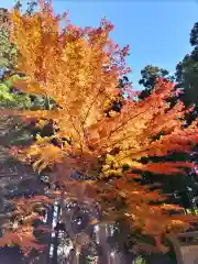 神炊館神社 ⁂奥州須賀川総鎮守⁂(福島県)